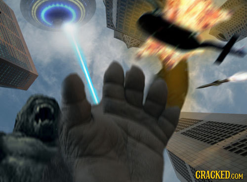 17 Images Recovered from Destroyed Cameras