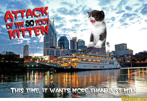 AATTACK 50 FOOW OF THE KTTTEN m20u9m THIS TIME, T WANTS MORE THANJUST MALR BAGKEDOM