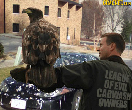 GRACKEDCONT LEAGUE OFEVIL CARWASH OWNERS