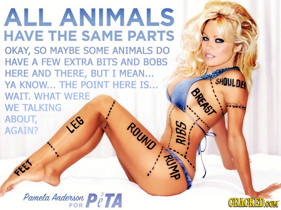 ALL ANIMALS HAVE THE SAME PARTS OKAY, SO MAYBE SOME ANIMALS DO HAVE A FEW EXTRA BITS AND BOBS HERE AND THERE, BUT I MEAN... SHOULDER YA KNOW... THE PO