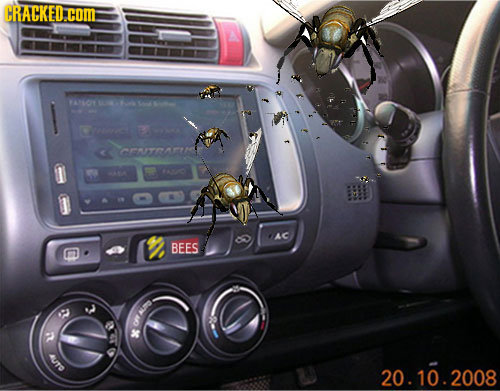 CRACKED.cOM: TANO Wroo ar A 40 AC BEES 20. 10.2008 oLN