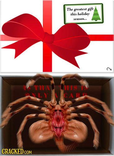 The greatest gift this holiday season... TAA NLY CAR