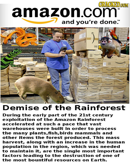 ORAGKEDO amazon.com and you're done. Demise of the Rainforest During the early part of the 21st century exploitation of the Amazon Rainforest accelera