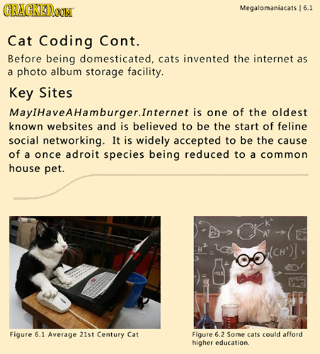 CRACKEDO Megalomaniacats  6.1 Cat Coding Cont. Before being domesticated, cats invented the internet as a photo album storage facility. Key Sites Mayi