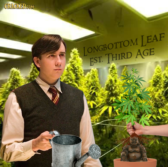 LEAF IONGBOTTOM THIRD AGE EST.