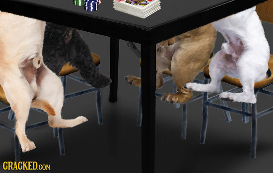 17 Famous Images, As Seen From a Different Angle