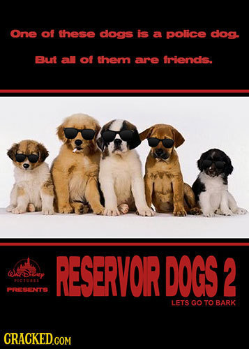 One of these doas is a police dlog. But a of them are friendis. RESERVOR DOGS 2 (eWe Diaey P101AL PRESENTS LETS GO TO BARK CRACKED.COM