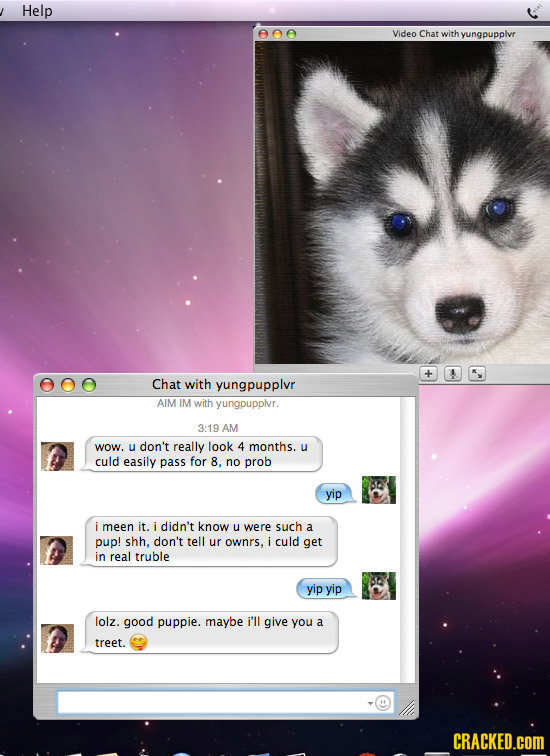 Help Video Chat with yungpupplvr Chat with yungpupplvr AIM IM with yungpupplvr. 3:19 AM wow. u don't really look 4 months. u culd easily pass for 8. n