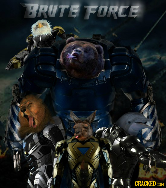 BRUTE FORCE CRACKED.COM