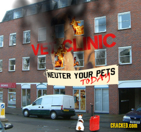 ED LE VE CLINIC NEUTER YOUR PETS oDAY BROMS CRACKED.COM