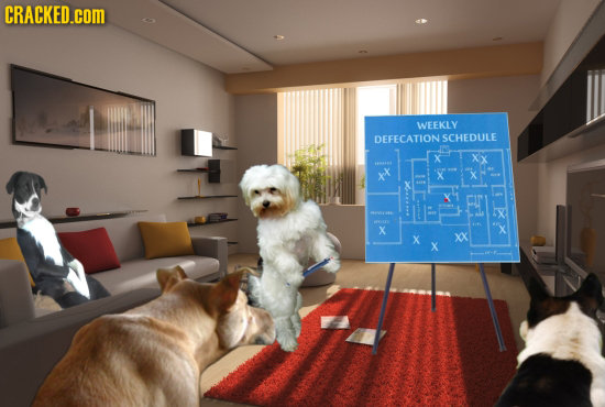 CRACKED.COM 1V DEFECATIONS SCHEDULE X X x