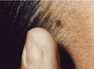 27 Easter Eggs (We Wish Were) Hidden in Iconic Music Videos