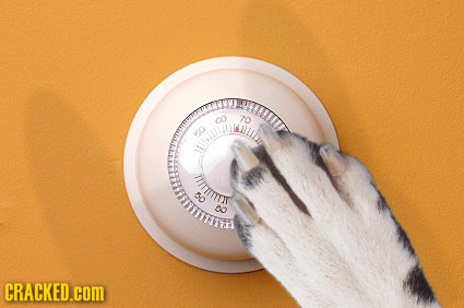 EU KIL IELL 70 C CRACKED.cOM