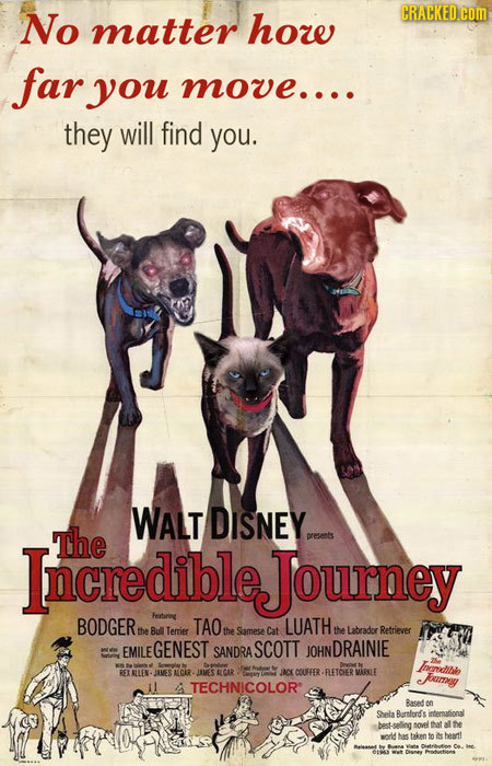 No CRACKED COm matter how far you move.... they will find you. WALT DISNEY IncredibleJourney The preseets BODGER Feitarine TAO LUATH the Bull Terrier