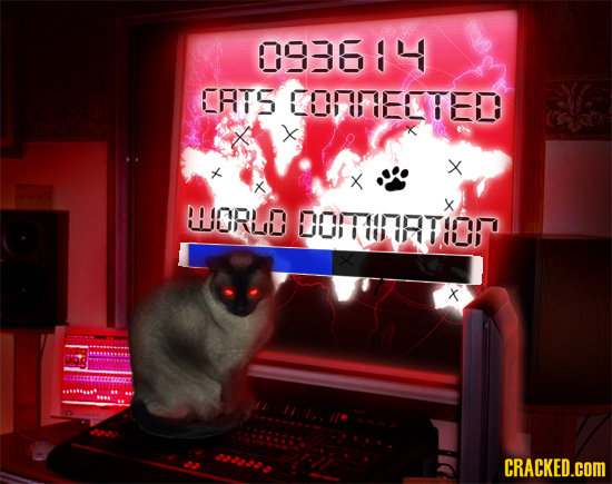 093614 CRTS COFITIELTED X * x RHORLD OOFRTOF X CRACKED.cOM