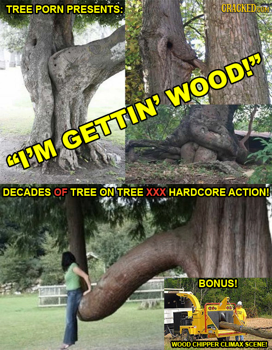TREE PORN PRESENTS: CRACKEDcO WOOD! GETTIN' I'M DECADES OF TREE ON TREE XXX HARDCORE ACTION! BONUS! WOOD CHIPPER CLIMAX SCENE!