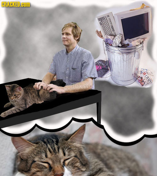 What Our Pets Are Probably Dreaming About