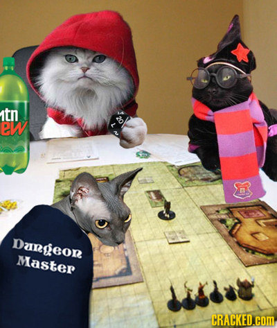 tn eW Dangeon Master CRACKED.COM