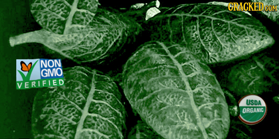 CRACKEDGOM NON GMIO VERIFIED USDA ORGANIC
