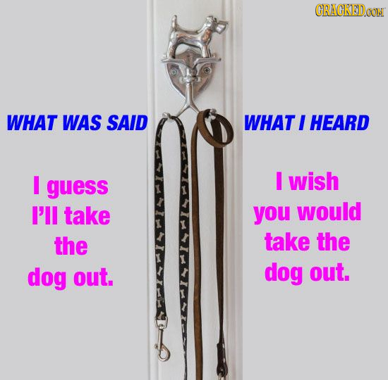 CRAGKEDOOM WHAT WAS SAID WHAT I HEARD I I guess wish I'll take you would the take the dog out. dog out.