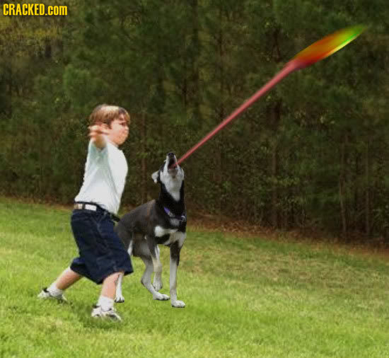 The Genetically Modified Pets of the Future (Hopefully)