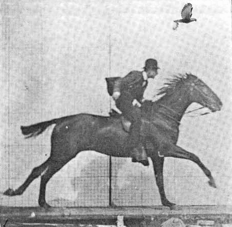 History's Most Iconic Images (Ruined by Photobombers)