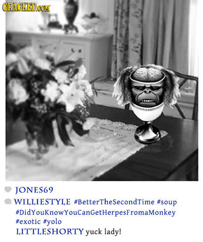 CRACKEDCO JONES69 WILLIESTYLE #BettertheSecondTime #soup #DidYouKnowYouCanGetHerpesFromaMonkey #exotic #yolo LITTLESHORTY yuck lady!