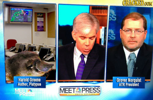 21 Ways Life Would Change if We Could Understand Animals