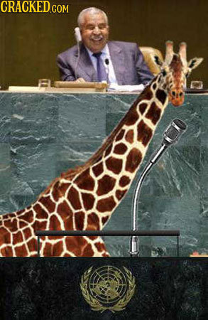 21 Ways Life Would Change if We Could Understand Animals