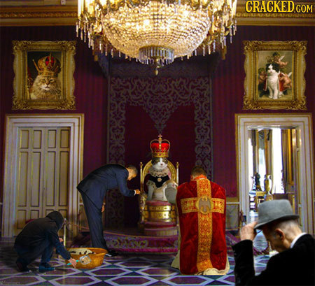 21 Ways Life Would Change if We Could Understand Animals