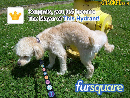 CRACKEDCON Congrats, you just became The Mayor of This Hydrant! E fursquare