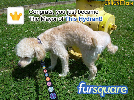 CRACKEDCON Congrats, you just became The Mayor of This Hydrant! E fursquare 