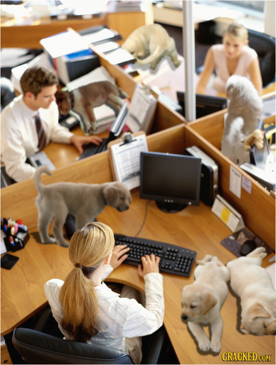 21 Rules We Should Suspend/Enforce One Day Each Year