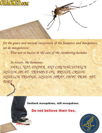CRACKED CON for the peace and mutual coexistence of the humanes and masquitase, TVE de mosquitowze: Vorv not to buzzz in the eane of the slumbering hu