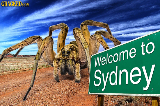 CRACKEDCO to Sydney Welcome