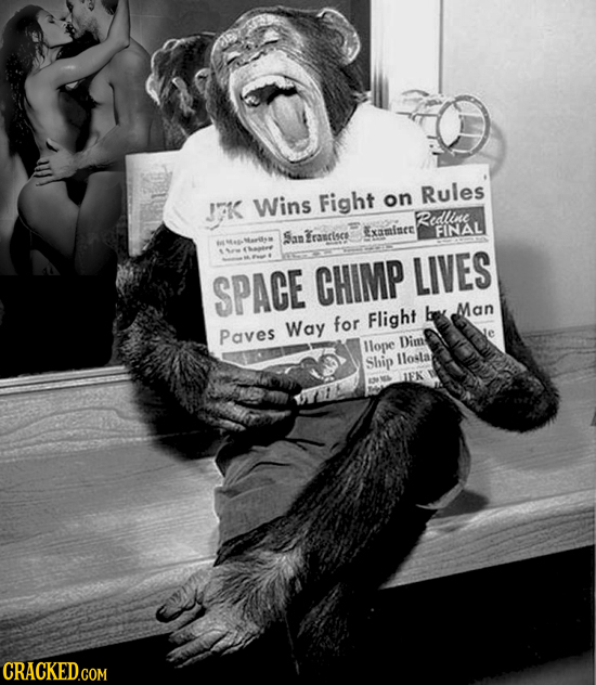 J7K Wins Fight Rules on Redle Erarises FINAL Sap Examinee SPACE CHIMP LIVES Man for Flight be Paves Way llope Dim Ship llola IEK CRACKED.COM COM