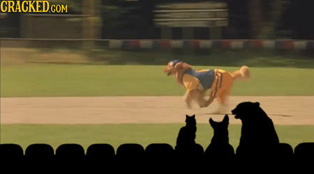 21 Ways Life Would Change if We Could Understand Animals