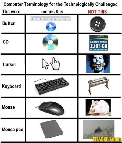 Computer Terminology for the Technologically Challenged The word means this NOT THIS Button CD PIck fera Ay iee 2.10%. CD Cursor Keyboard Mouse Mouse