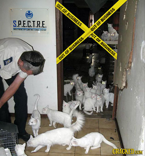 OUT OF BUSINESS Ctw) S.P.E.C.T.R.E. BUSINESS OF OUT JUT OF BUSINESS BUISINESS OF OUT CRACKEDCON