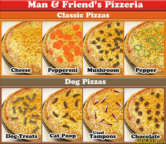 21 Ways Life Would Change if We Could Understand Animals