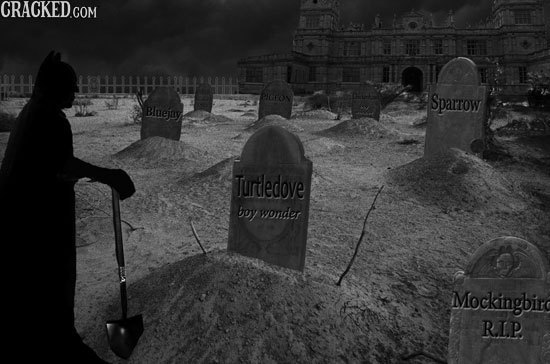 CRACKED.COM Sparrow Bluejay Turtledoye boy wonder Mockingbir RIP