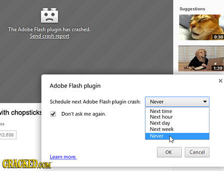 Suggestions The Adobe Flash plugin has crashed Send crashreport 0-30 1-39 X Adobe Flash plugin schedule next Adobe Flasb plugin crash Never ith chopst