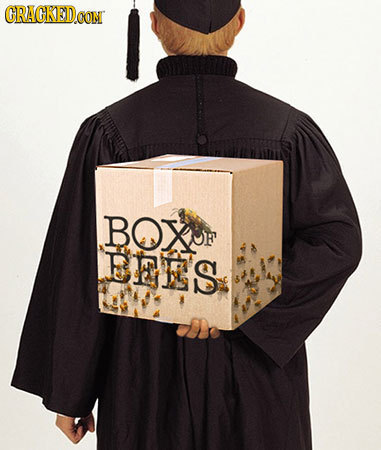 CRAGKED.CON BOXU F EEE'S