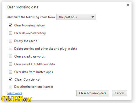 Clear browsing data X Obliterate the following items from: the past hour Clear browsing history Clear download history Empty the cache Delete cookies 