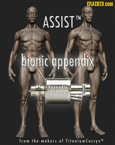 CRACKED.cOM ASSIST TM bionic appendix Appendix ASSISTIN from the makers of TitaniumCoccyx 