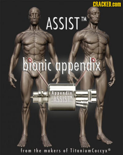 CRACKED.cOM ASSIST TM bionic appendix Appendix ASSISTIN from the makers of TitaniumCoccyx