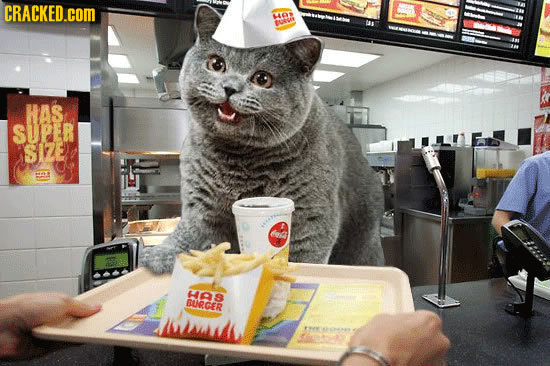 CRACKED.COM $468 trs HAS SUPER SIZE 4 hg hAS URGER