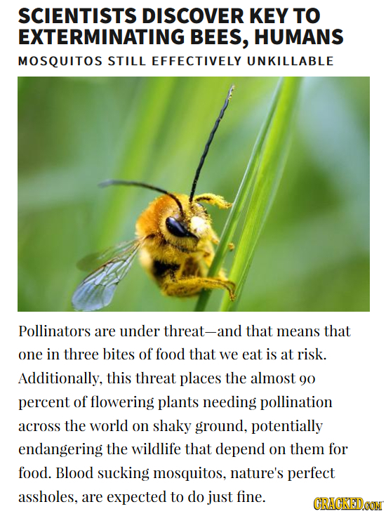 SCIENTISTS DISCOVER KEY TO EXTERMINATINGI BEES, HUMANS MOSQUITOS STILL EFFECTIVELY UNKILLABLE Pollinators are under threat- -and that means that one i