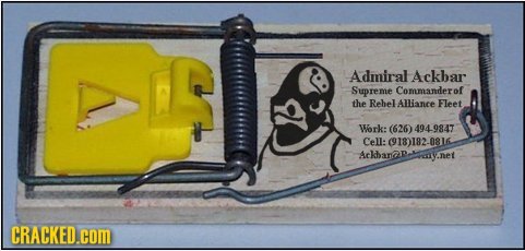 20 Business Cards They Will Never, Ever Forget