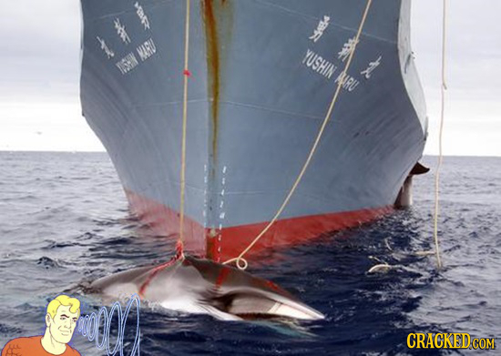 PR 2 es 1 YUSHIN > 21 CRACKEDCO COM